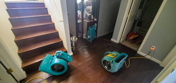 Best Local water damage restoration  in Louisville, MS