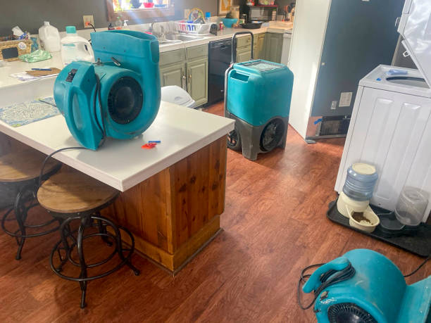 Best Sewage cleanup and water damage restoration  in Louisville, MS