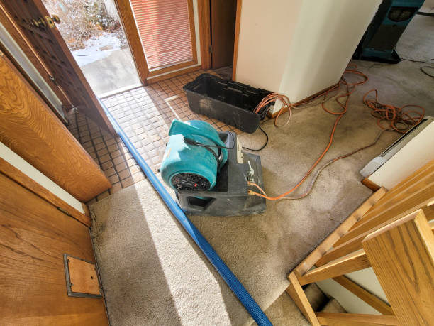 Best Carpet water damage restoration  in Louisville, MS