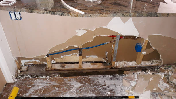 Best Ceiling water damage repair  in Louisville, MS