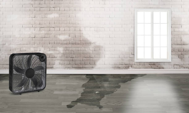 Best 24-hour water damage restoration  in Louisville, MS