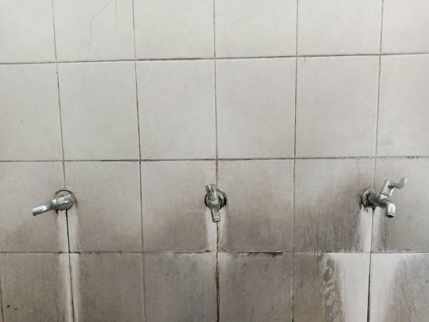 Best Water damage restoration cost  in Louisville, MS