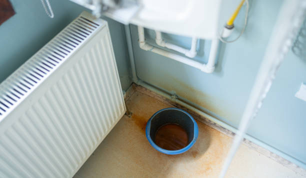 Carpet water damage restoration in MS
