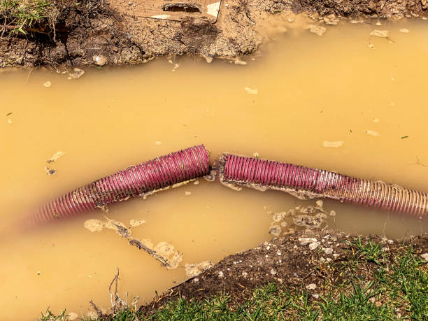 Best Water damage restoration near me  in Louisville, MS
